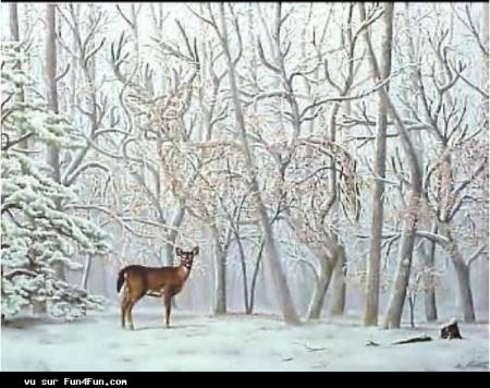 regarder bien les amis